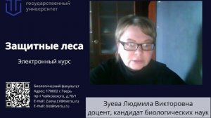 Проморолик_35.03.01_Защитные леса