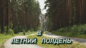 В ЛЕТНИЙ ПОЛДЕНЬ.2025 год.