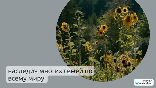 Фамилия Альес: история и происхождение, значение и особенности склонения - все, что вы хотели знать!