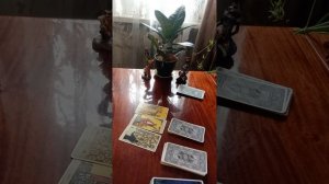 Таро.Что за спиной.