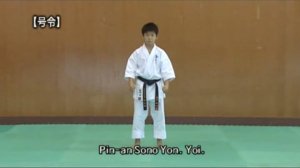 Пинан Соно Йон - Ката Карате Кёкусинкай (Kata Pinan Sono Yon - 平安四段) v.2