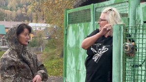 Кто поможет Саяногорску в решении вопроса с бродячими собаками