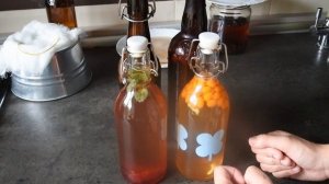 Фруктовая комбуча. Чайный гриб с разными вкусами. Вторичная ферментация. Как сделать дома газировку