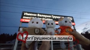 🍁ЛИЛИШКИ НА ГРУШИНСКОМ🍁|ВЛОГ