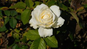 22==09==2025  ПВН  КМР   (157)