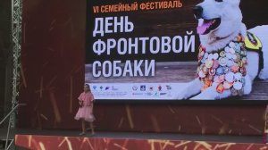 Елизавета Малашева - Маленькая страна (Игорь Николаев)