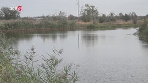 А мне охота да рыбалка 27.09.2025 - Мормышка и спиннинг на реке Тузлов. Часть 1