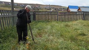 Посадка привитых яблонь на намеченное место