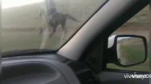 проверка после травмы ноги