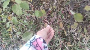 как вернуться? домой