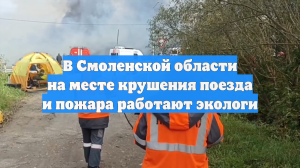 В Смоленской области на месте крушения поезда и пожара работают экологи