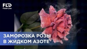 Криогенный эксперимент: заморозка розы жидким азотом и инженерные особенности работы с криогенами