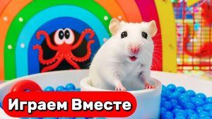 ЛАБИРИНТ ДЛЯ УМНОГО ХОМЯКА С ЛОВУШКАМИ И МОНСТРАМИ 🐹 ВИДЕО ПРО ХОМЯКА ДЛЯ ДЕТЕЙ