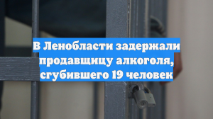 В Ленобласти задержали продавщицу алкоголя, сгубившего 19 человек
