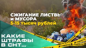 Какие штрафы грозят дачникам?