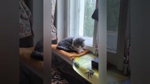 20.09.2025.Сочи больше нет снами...