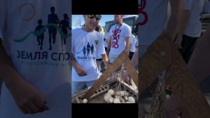 Земля спорта