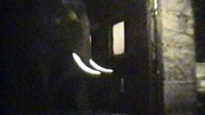 ЗВЕРИНЕЦ семейный архив сергеевых