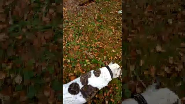 26-09-2025 смотреть онлайн