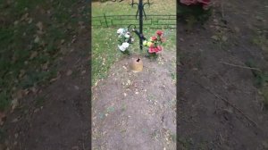 Захоронения красноармейца ВОВ в селе Дуброво Липецкой области.
