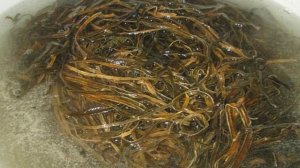 Морская капуста в кунжутном масле