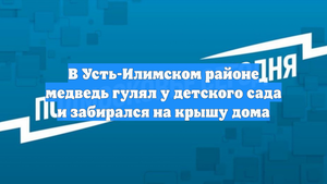 В Усть-Илимском районе медведь гулял у детского сада и забирался на крышу дома