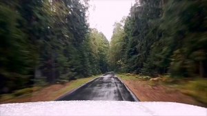 д. Нивки - дом отдыха Плавно, 23 сентября 2025 год.