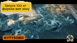 запуск форели 26.09