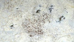 Кабачки в чесночном соусе