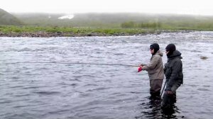 Сибирский лов. Выпуск 84