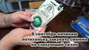 Обзор покупок с маркетплейса: закваска для сметаны, чехол для наушников, тетради, семена