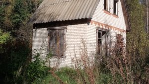 В лесу можно встретить не только грибы но и двухэтажный дом.