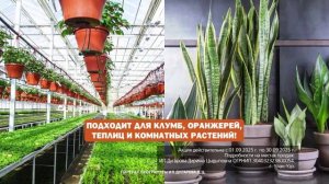 "Во саду ли, в огороде" ( Выпуск от 26.09.2025)