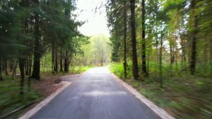 Новый проект (1)