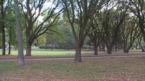 Синоптики рассказали о погоде в Вологодской области