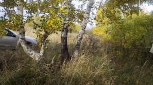 ОСЕННЯЯ ОХОТА В АРМИЗОНЕ--1,#охота,#армизон,#стан