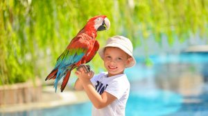 Турция часть 5 Финал