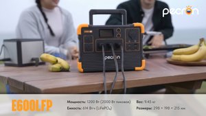 Портативная электростанция для туризма и отдыха. Обзор Pecron E600LFP