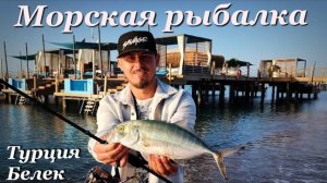 ЭТИ КОНИ ГНУТ СПИННИНГ В ДУГУ🎣 Морская рыбалка 🇹🇷Турция, Белек Hoвый FAVORITE BLUE BIRD BB1-764UL