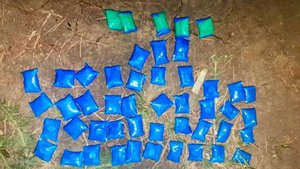 В Сочи изъяли более 60 закладок с наркотиками