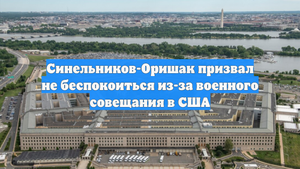 Синельников-Оришак призвал не беспокоиться из-за военного совещания в США
