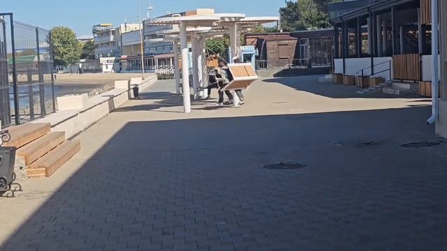 #116.Анапа.Что сегодня происходит в центре Анапы?.Холодно у нас.