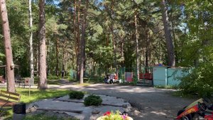 Летнее море и парк - часть 3