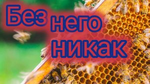 Без него никак 🐝💉🐝🐝