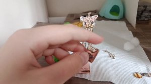 Влог+Мини распаковка.
МИКИ ВЫРОСЛА? 👧🏼-👱♀️
