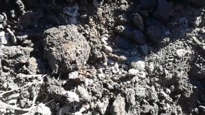 НАХОДКА МЕЧТЫ ЗА 2 СЕЗОНА. Приборный поиск-коп.