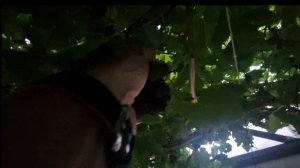 ❗️Это именно тот случай когда в тихую уходишь от жены и сажаешь в машину любимую девочку❗️