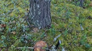 29 июля - крайний выход перед отпуском ч. 1