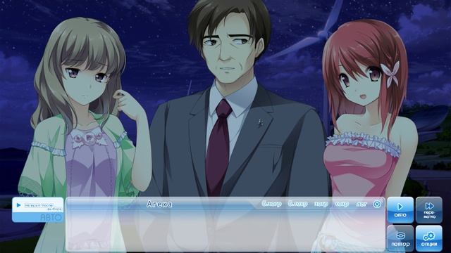 На крыльях мечты #158