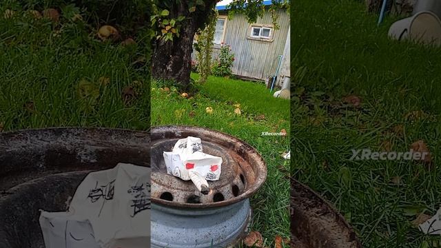сделал Жигули